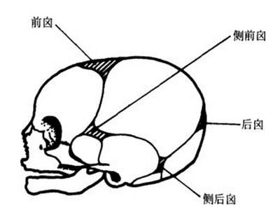 前囪門位置